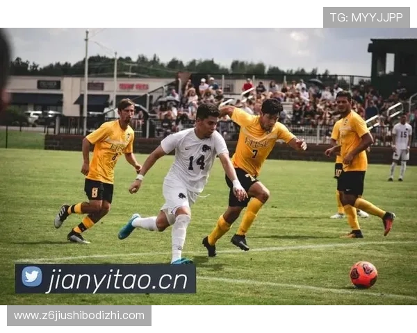 搏击人生的旅程：尊龙凯时与你一起追求梦想