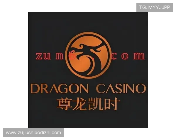 深度解析尊龙时凯中国官网入口下载的使用优势与便捷性